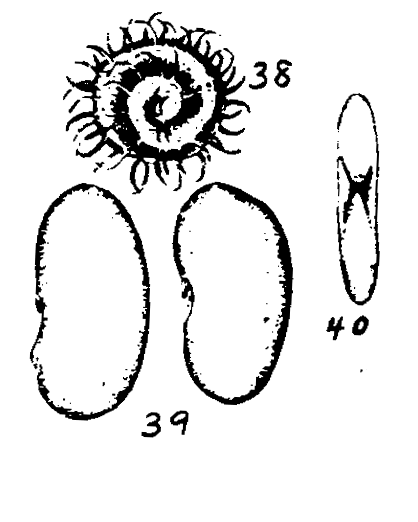 m2-38~40.gif (23150 bytes)