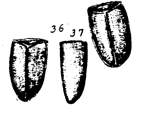 m6-36~37.gif (27121 bytes)