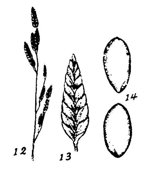 m1-12~14.gif (26510 bytes)