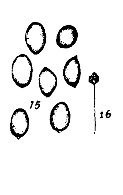 m1-15~16.gif (14535 bytes)