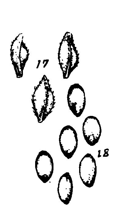 m1-17~18.gif (6428 bytes)