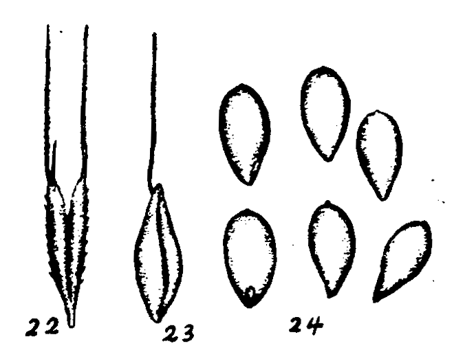 m1-22~24.gif (28632 bytes)