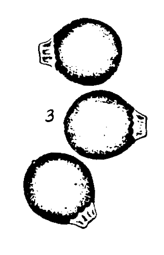 m1-3.gif (13843 bytes)