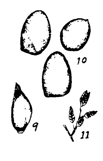 m1-9~11.gif (15857 bytes)