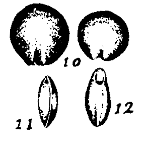m2-10~12.gif (12547 bytes)