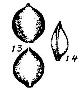 m2-13~14.gif (10660 bytes)