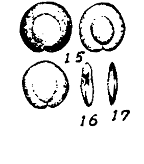 m2-15~17.gif (11503 bytes)