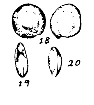 m2-18~20.gif (11704 bytes)