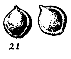 m2-21.gif (8298 bytes)