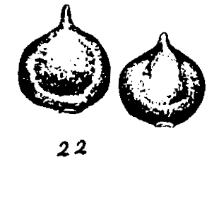 m2-22.gif (11097 bytes)