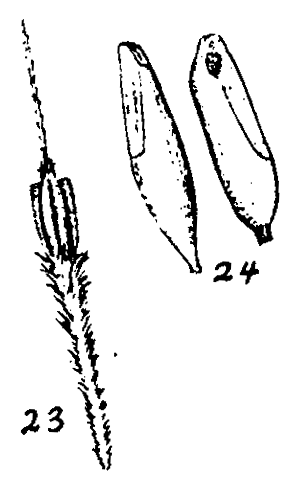 m2-23~24.gif (17261 bytes)