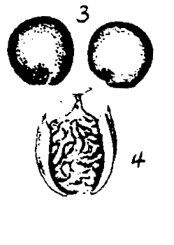 m2-3~4.gif (13079 bytes)