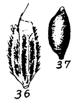 m2-36~37.gif (14793 bytes)