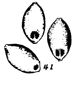 m2-41.gif (12032 bytes)