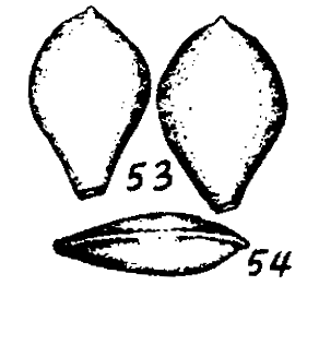 m2-53~54.gif (11151 bytes)