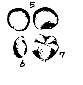 m2-5~7.gif (8329 bytes)