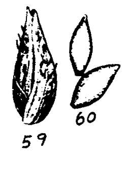 m2-59~60.gif (12581 bytes)