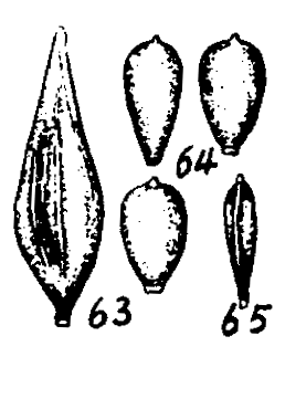 m2-63~65.gif (17280 bytes)