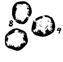 m2-8~9.gif (7567 bytes)