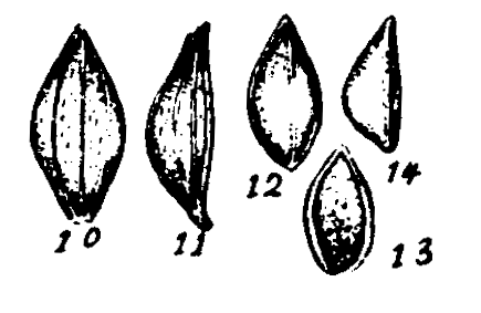 m3-10~14.gif (19724 bytes)