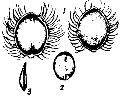 m3-1~3.gif (31863 bytes)