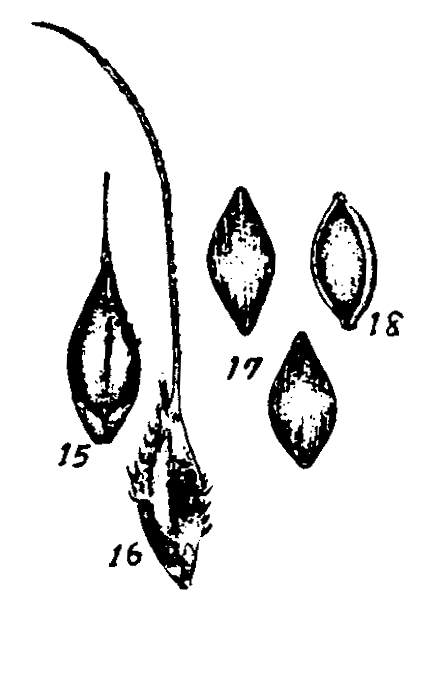 m3-15~18.gif (24072 bytes)