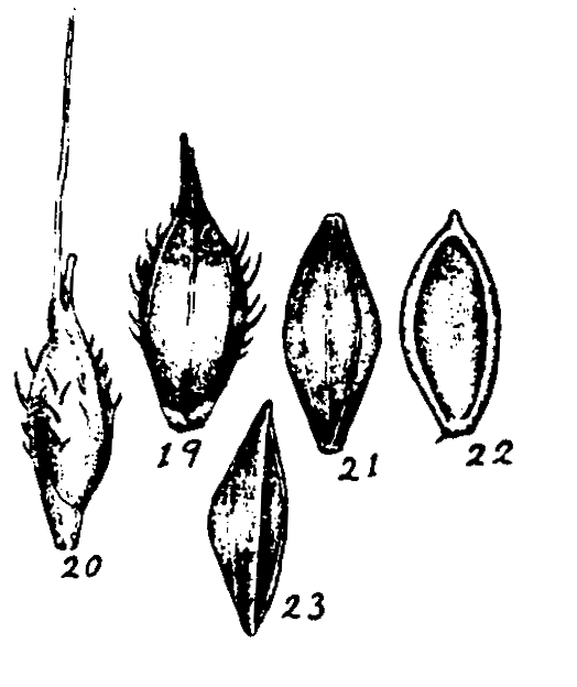 m3-19~23.gif (35566 bytes)