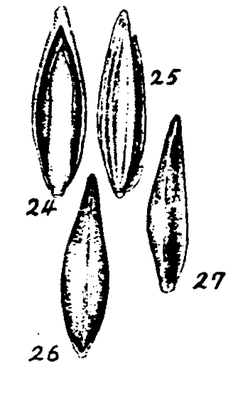 m3-24~27.gif (27123 bytes)