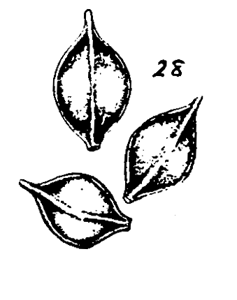 m3-28.gif (16657 bytes)