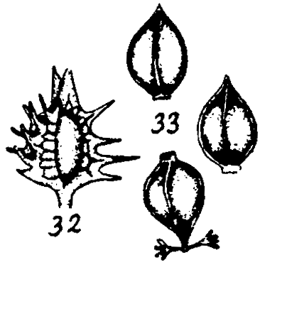 m3-32~33.gif (19833 bytes)