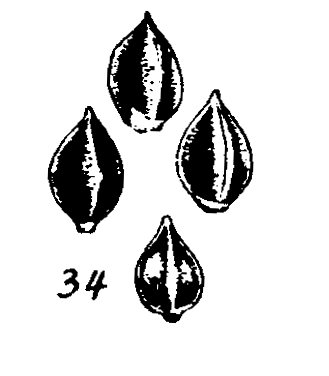 m3-34.gif (12944 bytes)