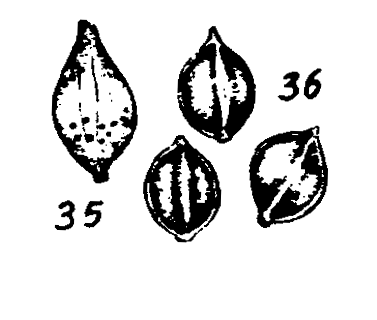 m3-35~36.gif (14061 bytes)