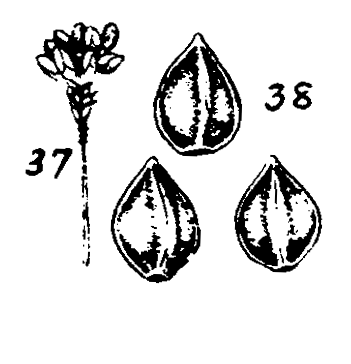 m3-37~38.gif (17464 bytes)