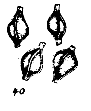 m3-40.gif (13471 bytes)