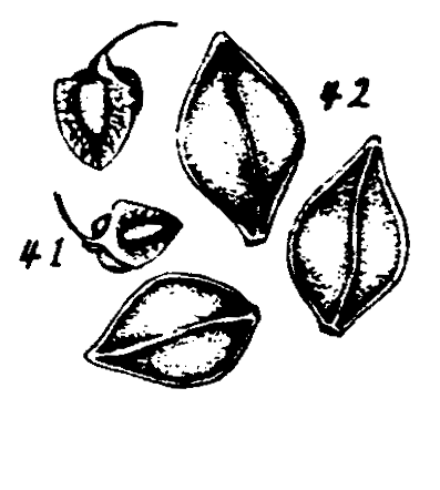 m3-41~42.gif (23207 bytes)