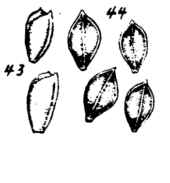 m3-43~44.gif (18063 bytes)