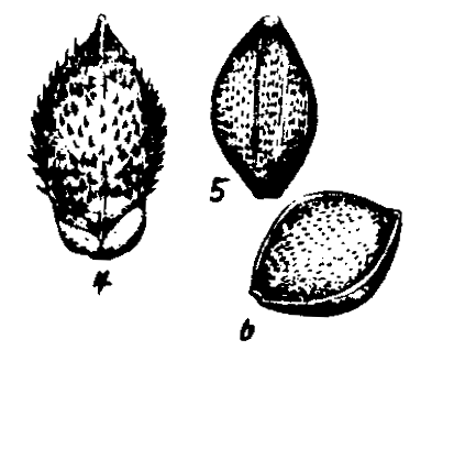 m3-46.gif (12901 bytes)