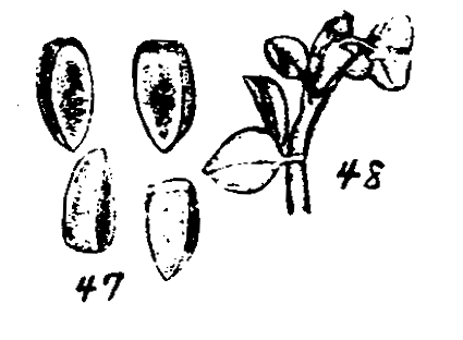 m3-47~48.gif (17369 bytes)