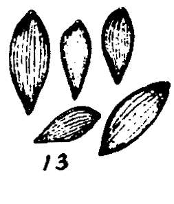 m4-13.gif (14317 bytes)