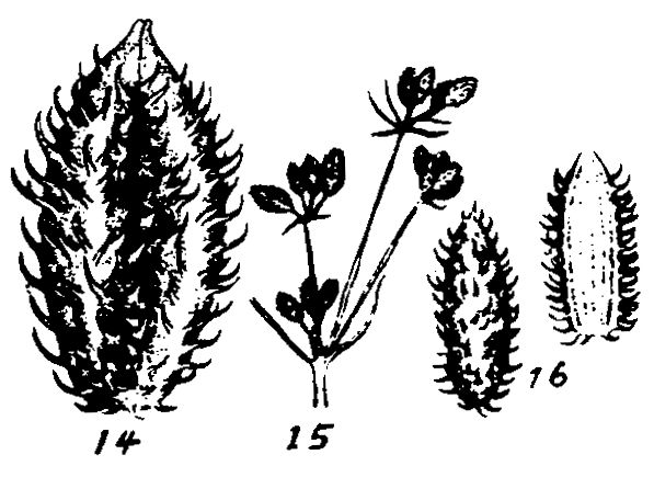 m4-14~16.gif (43715 bytes)