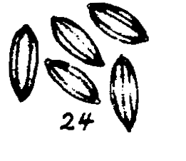 m4-24.gif (9721 bytes)
