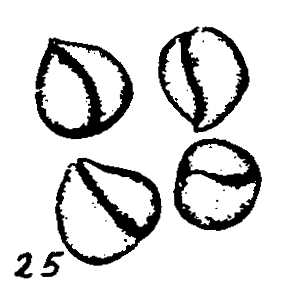 m4-25.gif (10518 bytes)