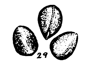 m4-29.gif (15683 bytes)