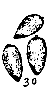 m4-30.gif (10151 bytes)