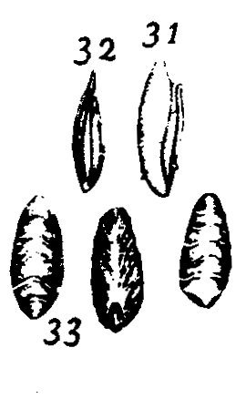 m4-31~33.gif (14704 bytes)