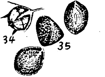 m4-34~35.gif (19694 bytes)