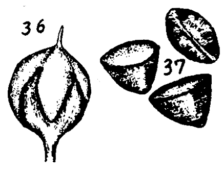m4-36~37.gif (22080 bytes)