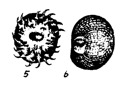 m4-5~6.gif (20855 bytes)