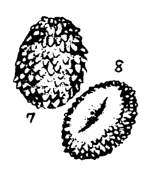 m4-7~8.gif (18527 bytes)