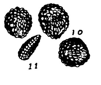 m5-10~11.gif (15721 bytes)
